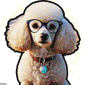 Kl v[h lbNX NbVJo[ 45×45cm Aj}   NbV{̕t ` t@