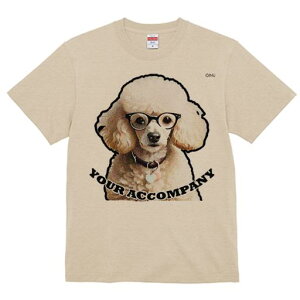 TVc Y LbY t@  t  vg JWA 킢 lԗp tBbglX _X Kl v[h n[g^̃^O