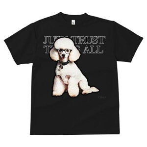 TVc fB[X t@  t  vg JWA 킢 lԗp tBbglX _X Kl v[h   gCv[h t@bV