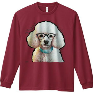 TVc lԗp Y Ht vg W[ AEghA JWA 킢 t@ Kl v[h 