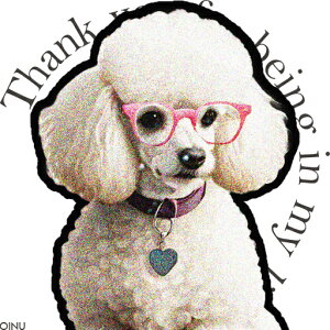 Kl v[h n[g̎ ӂ̌t NbVJo[ 45×45cm Aj}   NbV{̕t ` t@