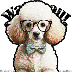 Kl v[h lN^C NbVJo[ 45×45cm Aj}   NbV{̕t ` t@