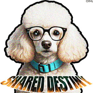 Kl v[h   NbVJo[ 45×45cm Aj}   NbV{̕t ` t@