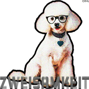 ዾ v[h  n[g^̃^O  NbVJo[ 45×45cm Aj}   NbV{̕t ` t@