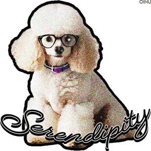 ዾ v[h  SerendipityƂeLXg NbVJo[ 45×45cm Aj}   NbV{̕t ` t@