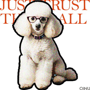 ዾ v[h  Ε NbVJo[ 45×45cm Aj}   NbV{̕t ` t@