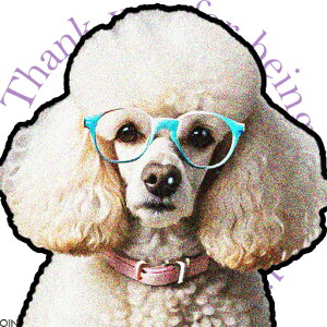 Kl v[h  NbVJo[ 45×45cm Aj}   NbV{̕t ` t@