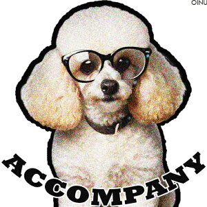 Kl v[h  [A NbVJo[ 45×45cm Aj}   NbV{̕t ` t@