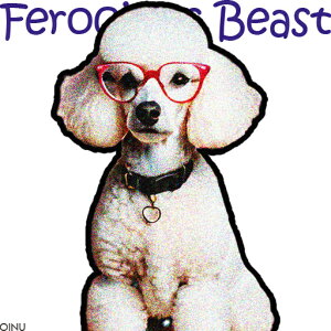 Kl v[h  n[g  NbVJo[ 45×45cm Aj}  NbV{̕t ` t@