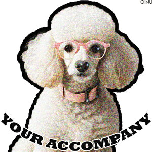 Kl v[h   NbVJo[ 45×45cm Aj}  NbV{̕t ` t@