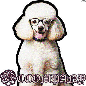 Kl v[h ̎  NbVJo[ 45×45cm Aj}  NbV{̕t ` t@