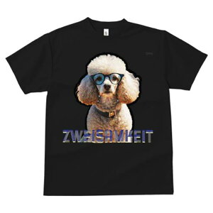 TVc fB[X t@  t  vg JWA 킢 lԗp tBbglX _X Kl v[h lbNX