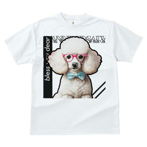 TVc fB[X t@  t  vg JWA 킢 lԗp tBbglX _X Kl v[h lN^C 