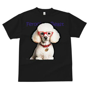 TVc fB[X t@  t  vg JWA 킢 lԗp tBbglX _X Kl v[h Ԃ _