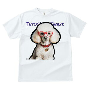 TVc fB[X t@  t  vg JWA 킢 lԗp tBbglX _X Kl v[h Ԃ _