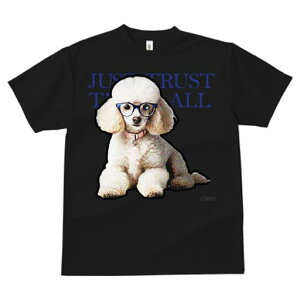 TVc fB[X t@  t  vg JWA 킢 lԗp tBbglX _X Kl v[h 