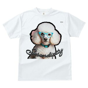 TVc fB[X t@  t  vg JWA 킢 lԗp tBbglX _X Kl v[h ZfBseB