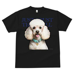 TVc fB[X t@  t  vg JWA 킢 lԗp tBbglX _X Kl v[h J[ n[g̃^O