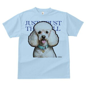 TVc Y LbY t@  t  vg JWA 킢 lԗp tBbglX _X Kl v[h J[ n[g̃^O