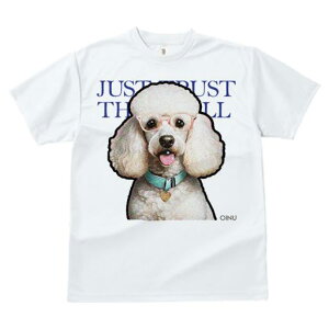 TVc Y LbY t@  t  vg JWA 킢 lԗp tBbglX _X Kl v[h J[ n[g̃^O