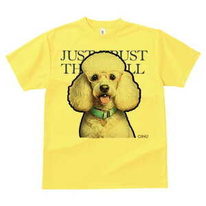 TVc Y LbY t@  t  vg JWA 킢 lԗp tBbglX _X Kl v[h J[ n[g̃^O