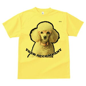 TVc Y LbY t@  t  vg JWA 킢 lԗp tBbglX _X Kl v[h  