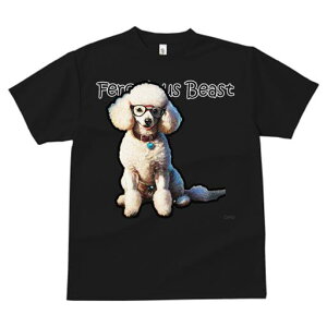 TVc fB[X t@  t  vg JWA 킢 lԗp tBbglX _X Kl v[h J[ pn[g^O