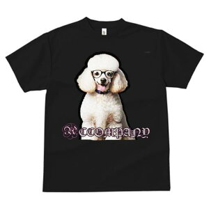 TVc fB[X t@  t  vg JWA 킢 lԗp tBbglX _X Kl v[h ̎ 