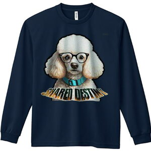 TVc lԗp Y Ht vg W[ AEghA JWA 킢 t@ Kl v[h  