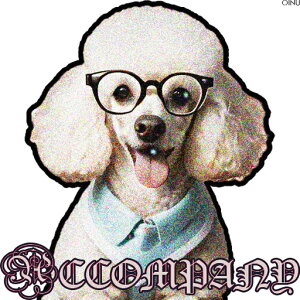 Kl v[h lN^C Vc NbVJo[ 45×45cm Aj}   NbV{̕t ` t@