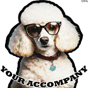 Kl v[h  ^O NbVJo[ 45×45cm Aj}   NbV{̕t ` t@