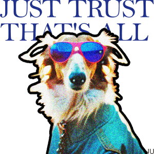 �T���O���X �R���[ �W���P�b�g �N�b�V�����J�o�[ 45×45cm �A�j�}���� ������� ���� �N�b�V�����{�̕t�� �����` ���t�@��