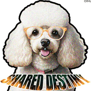 ዾ v[h eLXg NbVJo[ 45×45cm Aj}   NbV{̕t ` t@