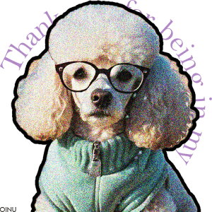 ዾ v[h Z[^[ NbVJo[ 45×45cm Aj}   NbV{̕t ` t@