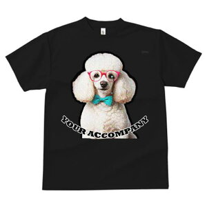 TVc fB[X t@  t  vg JWA 킢 lԗp tBbglX _X Ԃዾ v[h lN^C