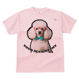 TVc Y LbY t@  t  vg JWA 킢 lԗp tBbglX _X Ԃዾ v[h lN^C