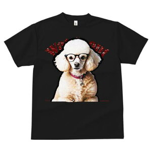 TVc fB[X t@  t  vg JWA 킢 lԗp tBbglX _X Kl v[h Ԃ