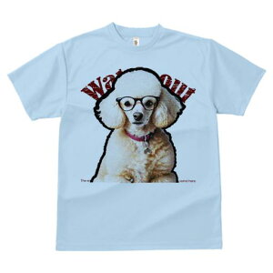 TVc Y LbY t@  t  vg JWA 킢 lԗp tBbglX _X Kl v[h Ԃ