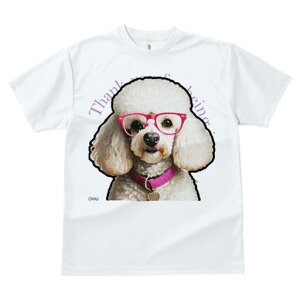 TVc Y LbY t@  t  vg JWA 킢 lԗp tBbglX _X Kl v[h  n[g̃y_g