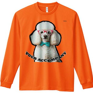 TVc lԗp Y Ht vg W[ AEghA JWA 킢 t@ Ԃዾ v[h lN^C