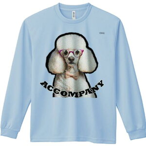 TVc lԗp Y Ht vg W[ AEghA JWA 킢 t@ Kl v[h lN^C