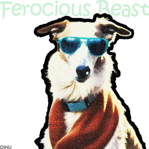 TOX {[_[R[ XJ[t NbVJo[ 45×45cm Aj}   NbV{̕t ` t@