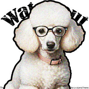 Kl v[h  񂿂 NbVJo[ 45×45cm Aj}  NbV{̕t ` t@