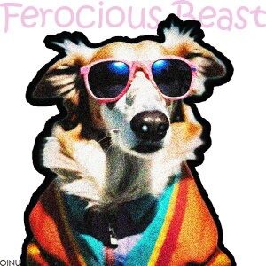 TOX s ^I Jt NbVJo[ 45×45cm Aj}   NbV{̕t ` t@