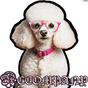 ዾ v[h   NbVJo[ 45×45cm Aj}   NbV{̕t ` t@