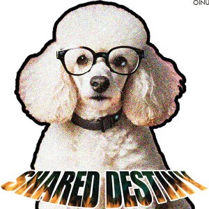 Kl v[h eLXg Shared Destiny NbVJo[ 45×45cm Aj}   NbV{̕t ` t@