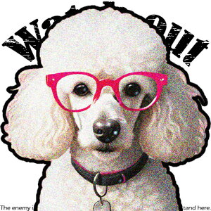 Kl v[h NbVJo[ 45×45cm Aj}   NbV{̕t ` t@