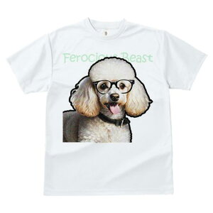 TVc Y LbY t@  t  vg JWA 킢 lԗp tBbglX _X Kl v[h 