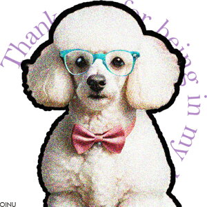 Kl v[h lN^C  NbVJo[ 45×45cm Aj}  NbV{̕t ` t@