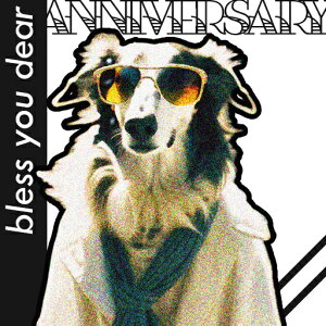 TOX {]C XJ[t R[g  NbVJo[ 45×45cm Aj}   NbV{̕t ` t@